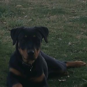 Meet your Posher, Fermin